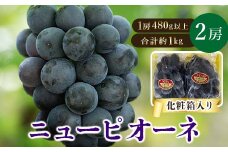 ＜2025年発送＞岡山県産　ニューピオーネ2房 (1房480g以上・合計約1kg)　化粧箱入り_ ニューピオーネ ぶどう 葡萄 ブドウ 果物 くだもの 訳なし ピオーネ フルーツ 人気 美味しい 岡山 ギフト 津山市 【1281358】