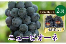 ＜2025年発送＞岡山県産　ニューピオーネ2房　(1房600g以上)　化粧箱入り【1281359】