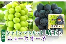 ＜2025年発送＞岡山県産　詰合せ/シャインマスカット『晴王』とニューピオーネ　化粧箱入り_ シャインマスカット ぶどう 葡萄 ブドウ 果物 くだもの 岡山県 津山市 マスカット ピオーネ フルーツ 人気 【1281367】