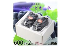 ＜2025年6月発送＞岡山県産　ニューピオーネ　600g×2房_ぶどう ニューピオーネ 葡萄 ブドウ 岡山県産 果物 くだもの フルーツ 種無し 贈答 ギフト プレゼント 岡山県 津山市 産直 産地直送 送料無料【1308145】