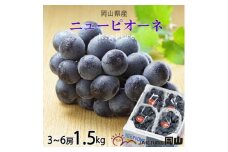 ＜2025年6月発送＞岡山県産　ニューピオーネ　1.5kg(3房～6房)_ぶどう ニューピオーネ 葡萄 ブドウ 岡山県産 果物 くだもの フルーツ 種無し 贈答 ギフト プレゼント 岡山県 津山市 産地直送 送料無料【1308146】