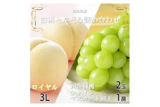 ＜先行受付＞岡山県産　岡山白桃ロイヤル3L300g×2玉・シャインマスカット晴王600g×1房　詰合【1308767】