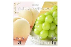＜先行受付＞岡山県産　岡山白桃エース2L250g×2玉・シャインマスカット晴王500g×1房　詰合【1308772】