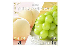 ＜先行受付＞岡山県産　岡山白桃ロイヤル2L250g×2玉・シャインマスカット晴王500g×1房　詰合_桃 白桃 シャインマスカット もも 詰め合わせ 甘い 果物 くだもの フルーツ 岡山県 津山市 産直 送料無料【1308770】