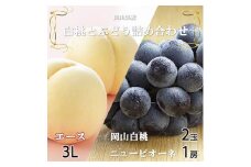 ＜先行受付＞岡山県産　岡山白桃エース3Lサイズ300g×2玉・ニューピオーネ600g×1房　詰合せ【1309116】