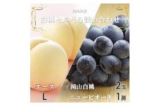 ＜先行受付＞岡山県産　岡山白桃エースLサイズ200g×2玉・ニューピオーネ400g×1房　詰合せ【1309151】