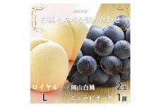 ＜先行受付＞岡山県産　岡山白桃ロイヤルLサイズ200g×2玉・ニューピオーネ400g×1房　詰合せ【1309122】