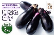 朝採れ茄子　3kg【1323067】