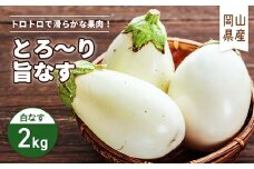 とろ～り旨なす　白なす2kg【1325424】