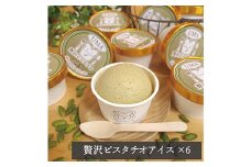 アイス職人の作るこだわりアイスクリーム6個セット　ピスタチオアイス　各90ml入り_ ふるさと納税 アイス 職人 スイーツ 素材重視 アイスクリーム デザート お菓子 カップ ギフト プレゼント 岡山県 津山市 冷凍 送料無料 【1148911】