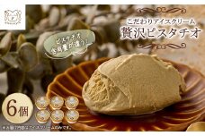 アイス職人の作るこだわりアイスクリーム6個セット　ピスタチオアイス　各90ml入り_ ふるさと納税 アイス 職人 スイーツ 素材重視 アイスクリーム デザート お菓子 カップ ギフト プレゼント 岡山県 津山市 冷凍 送料無料 【1148911】