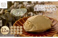 アイス職人の作るこだわりアイスクリーム12個セット　ピスタチオアイス　各90ml入り_アイス 職人 スイーツ 素材重視 アイスクリーム 食べ比べ ギフト スイーツ 岡山県 津山市 人気 おすすめ 送料無料【1148912】