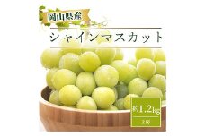 ＜2025年お届け＞岡山県産 シャインマスカット  約1.2kg(2房)【1332985】