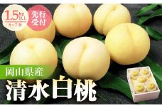 ◆先行受付◆　岡山県産　清水白桃5～7玉　2025年発送【1349770】