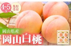 ◆先行受付◆　岡山県産　岡山白桃4～5玉　2025年発送【1349771】