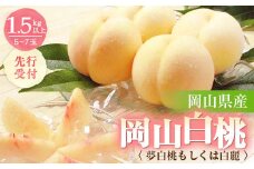 ◆先行受付◆　岡山県産　岡山白桃5～7玉(2)　2025年発送【1349775】