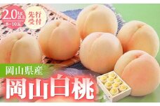 ◆先行受付◆　岡山県産　岡山白桃8～10玉　2025年発送【1349776】