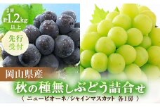 ◆先行受付◆　岡山県産　秋の種無しぶどう詰合せ　2025年発送【1349783】