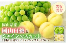 ◆先行受付◆　岡山白桃とシャインマスカット　2026年発送_ 岡山白桃 果汁たっぷり 高級フルーツ 夏 秋 ギフト シャインマスカット ぶどう 岡山県 津山市 産直 産地直送 送料無料 人気 おすすめ 【1349778】