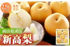 ◆先行受付◆　岡山県産　新高梨　2025年発送_ 岡山県産 梨 ブランド 甘い 人気 果物 岡山県 津山市 くだもの 果物 フルーツ 人気 おすすめ 送料無料 ギフト 贈答 【1350318】