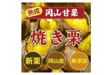 ＜2024年お届け＞岡山甘栗の焼き栗400g【1340534】
