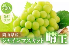 ◆先行受付◆　秋のシャインマスカット「晴王」1房　2025年発送【1349780】