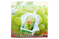 ＜先行受付＞岡山県産　マスカットジパング　700g×1房【1351807】