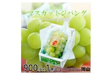 ＜先行受付＞岡山県産　マスカットジパング　900g×1房【1351810】