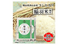 ＜岡山県津山市産＞稲羽米10kg(コシヒカリ)【1352219】