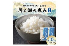 ＜岡山県津山市産＞川と海の恵み10kg(コシヒカリ)【1352224】