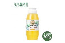 ルーマニア産アカシア蜂蜜300g(12025)_ はちみつ ふるさと納税 アカシア蜂蜜 蜂蜜 ハチミツ 高級はちみつ クセが少ない パンに合う 大容量 あかしあ アカシア 岡山県 津山市 ギフト プレゼント 常温 送料無料 【1354640】