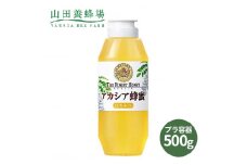 ルーマニア産アカシア蜂蜜500g(12670)【1354658】
