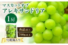 ＜2025年発送＞岡山県産マスカットオブアレキサンドリア1房(秀品以上・700g以上)化粧箱入り_ ぶどう 葡萄 ブドウ 果物 フルーツ 岡山県 津山市 くだもの マスカット 人気 おすすめ 送料無料 【1150087】