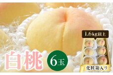 ＜2025年発送＞岡山県産　白桃6玉(1.6kg以上)　化粧箱入り【1281362】
