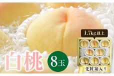 ＜2025年発送＞岡山県産　白桃8玉(1.7kg以上)　化粧箱入り_ 桃 白桃 もも 甘い 果物 くだもの フルーツ 岡山県 津山市 人気 おすすめ 送料無料 贈答 ギフト 化粧箱 冷蔵 【1281363】