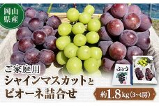 ＜2025年10月より発送＞訳ありシャインマスカットとピオーネ詰合せ 3～4房 1.8kg ご家庭用_ シャインマスカット ふるさと納税 ぶどう 葡萄 ブドウ 果物 くだもの 訳あり マスカット ピオーネ フルーツ 岡山県 津山市 産地直送 家庭用 送料無料 【1355668】