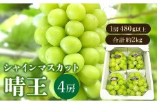 ＜2025年発送＞岡山県産　シャインマスカット『晴王』4房(1房480g以上・合計約2kg)　【1360475】