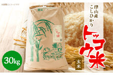 ＜突鉱土育ち＞津山産トッコウ米(こしひかり)玄米30kg_米 玄米 トッコウ米 こめ コメ お米 健康米 こしひかり コシヒカリ 30kg 岡山県 津山市 ごはん ご飯 お弁当 おにぎり 産直 産地直送 送料無料【1361987】