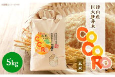 ＜突鉱土育ち＞巨大胚芽米CoCoRo 5kg_ 米 ふるさと納税 5kg 巨大胚芽米 健康米 食物繊維 栄養価 こめ コメ お米 おこめ ご飯 ごはん 胚芽米 玄米 国産 産直 産地直送 岡山県 津山市 送料無料 【1361992】