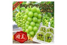 ＜2025年発送＞岡山名産＜晴王＞シャインマスカット2kg!8月下旬以降順次発送_ シャインマスカット ぶどう 葡萄 ブドウ 果物 くだもの 訳なし マスカット 晴王 フルーツ 人気 岡山県 津山市 産直 産地直送 ギフト 送料無料 【1365277】
