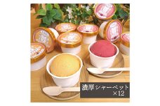 アイス職人が作るこだわりシャーベット 2種12個セット各90ml入り 卵不使用 乳不使用 小麦不使用【1369018】