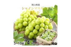 ＜2025年8月発送＞岡山県産　シャインマスカット　晴王　4kg(5房～10房)_ シャインマスカット ふるさと納税 ぶどう 葡萄 ブドウ マスカット 果物 フルーツ くだもの 岡山県 津山市 ギフト 産直 送料無料 【1366041】
