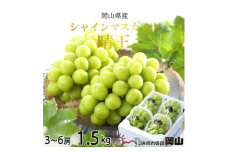 ＜2025年8月発送＞岡山県産　シャインマスカット　晴王　1.5kg(3房～6房)【1366038】