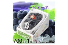 ＜2025年8月発送＞岡山県産　ニューピオーネ　700g×1房【1365851】