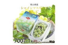 ＜2025年7月発送＞岡山県産　シャインマスカット　晴王　700g×1房【1365929】