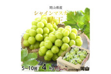 ＜2025年7月発送＞岡山県産　シャインマスカット　晴王　4kg(5房～10房)【1365939】