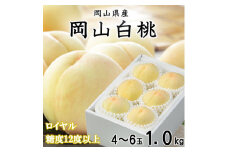 ＜先行受付＞岡山白桃 ロイヤル 4～6玉 1kg 岡山県産_ 桃 ふるさと納税 白桃 もも モモ 甘い 果物 くだもの フルーツ 産地直送 産直 岡山県 津山市 贈答 ギフト プレゼント 光センサー 送料無料 【1301630】
