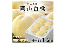 ＜先行受付＞岡山白桃 ロイヤル 4～8玉 1.2kg 岡山県産_桃 白桃 もも モモ 岡山白桃 甘い 果物 くだもの フルーツ デザート 岡山県 津山市 国産 産直 産地直送 贈答 ギフト プレゼント 送料無料【1305694】