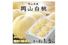 ＜先行受付＞岡山白桃 ロイヤル 4～8玉 1.5kg 岡山県産_桃 白桃 もも モモ 岡山白桃 甘い 果物 くだもの フルーツ デザート 岡山県 津山市 国産 産直 産地直送 贈答 ギフト プレゼント 送料無料【1305698】
