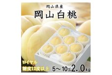 ＜先行受付＞岡山白桃 ロイヤル 5～10玉 2kg 岡山県産_桃 白桃 もも モモ 岡山白桃 甘い 果物 くだもの フルーツ デザート 岡山県 津山市 国産 産直 産地直送 贈答 ギフト プレゼント 送料無料【1305708】
